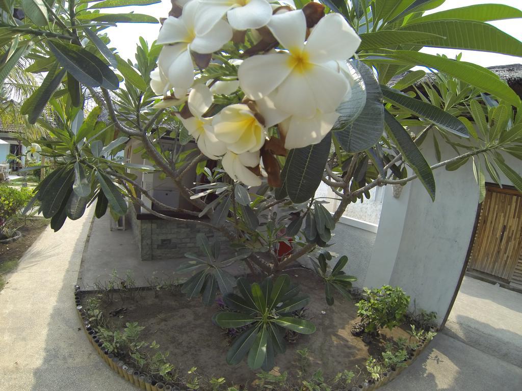 Casus Dream Hotel กีลีตราวางัน ภายนอก รูปภาพ