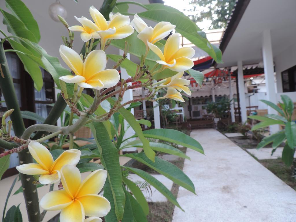 Casus Dream Hotel กีลีตราวางัน ภายนอก รูปภาพ